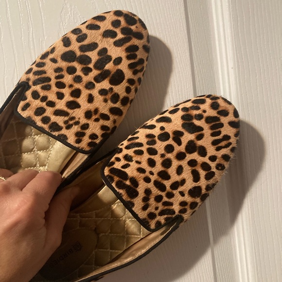 Birdies The Starling
Cheetah Calf Hair - Picture 4 of 8